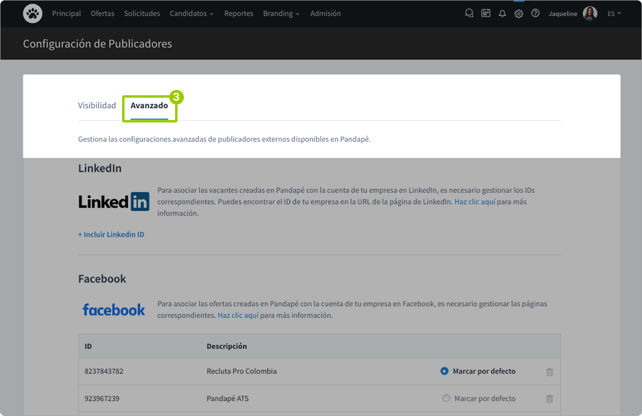 2_pestana_avanzado_linkedin.png