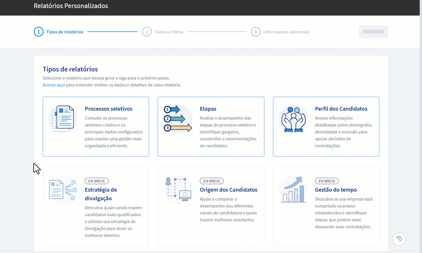 BR reportes personalizados 1.gif